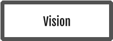Vision