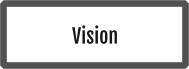 Vision